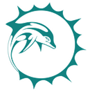 Palm City Dolphins Youth Football & Cheer